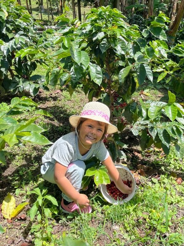 Melany en Finca Mastelo recogiendo cerezas de café